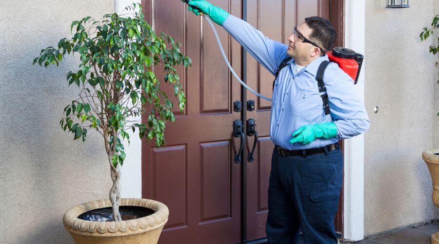 Why choose Quarterly Pest Control Centerville for quarterly pest control in Centerville